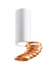 Candellux lubinis šviestuvas Tuba kaina ir informacija | Lubiniai šviestuvai | pigu.lt