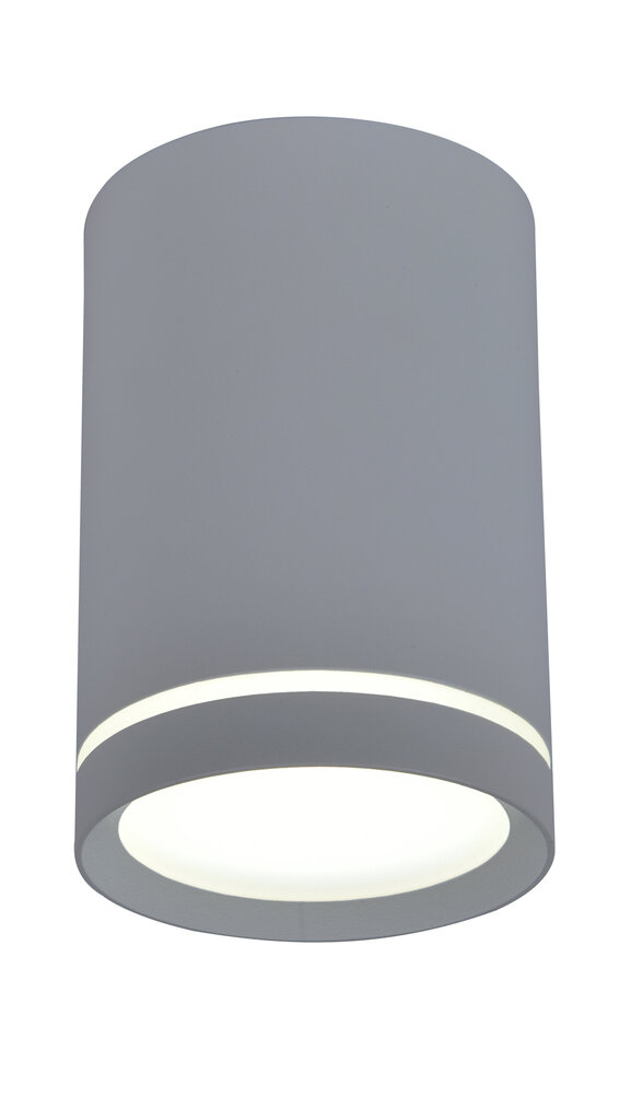 Candellux lubinis šviestuvas Tuba цена и информация | Lubiniai šviestuvai | pigu.lt