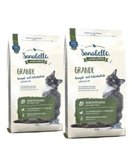 Sanabelle Grande 4 kg kaina ir informacija | Sausas maistas katėms | pigu.lt