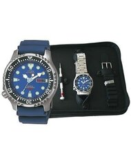 Vyriškas laikrodis Citizen NY0040-17LEM цена и информация | Мужские часы | pigu.lt