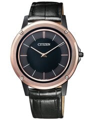 Vyriškas laikrodis Citizen AR5025-08E цена и информация | Мужские часы | pigu.lt