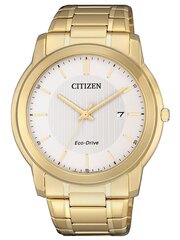 Мужские часы Citizen AW1212-87A цена и информация | Мужские часы | pigu.lt