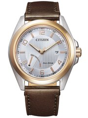 Vyriškas laikrodis Citizen AW7056-11A цена и информация | Мужские часы | pigu.lt