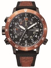 Laikrodis vyrams Citizen BN4049-11E kaina ir informacija | Vyriški laikrodžiai | pigu.lt