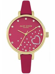 Moteriškas laikrodis Daisy Dixon DD083PG kaina ir informacija | Moteriški laikrodžiai | pigu.lt