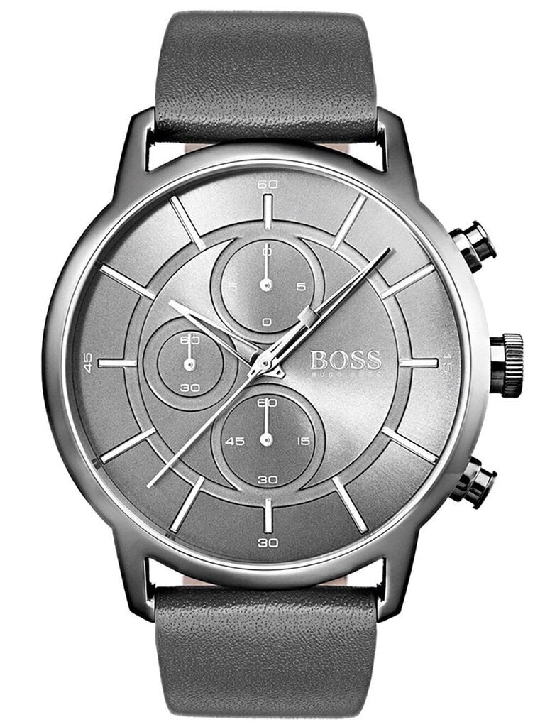 Vyriškas laikrodis Hugo Boss 1513570 цена и информация | Vyriški laikrodžiai | pigu.lt