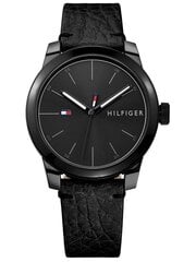 Vyriškas laikrodis Tommy Hilfiger 1791384 цена и информация | Мужские часы | pigu.lt