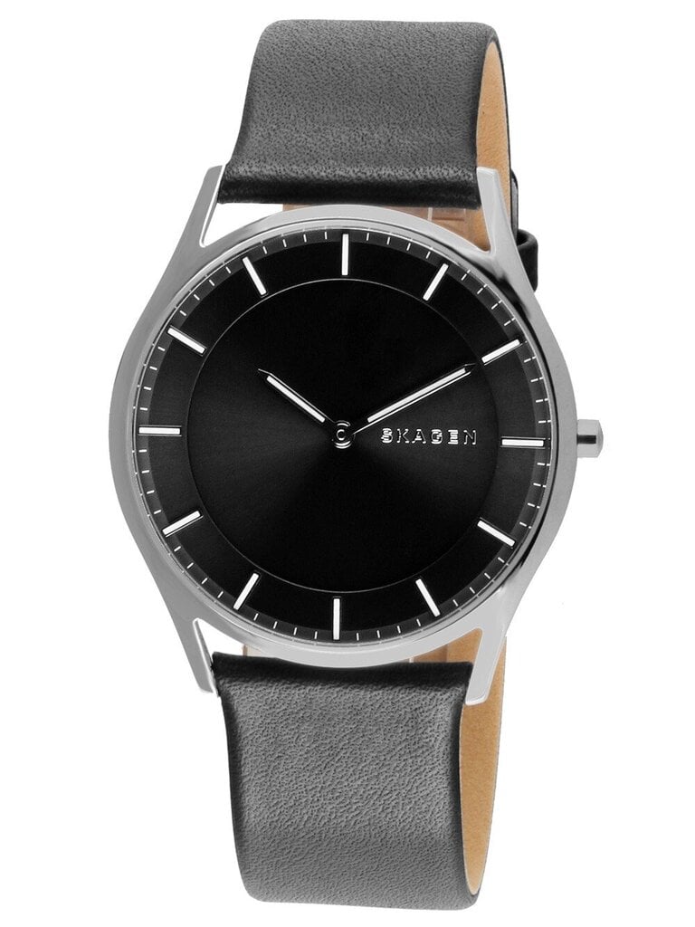Laikrodis vyrams Skagen SKW6220 цена и информация | Vyriški laikrodžiai | pigu.lt