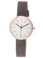 Moteriškas laikrodis Skagen SKW2644 kaina ir informacija | Moteriški laikrodžiai | pigu.lt