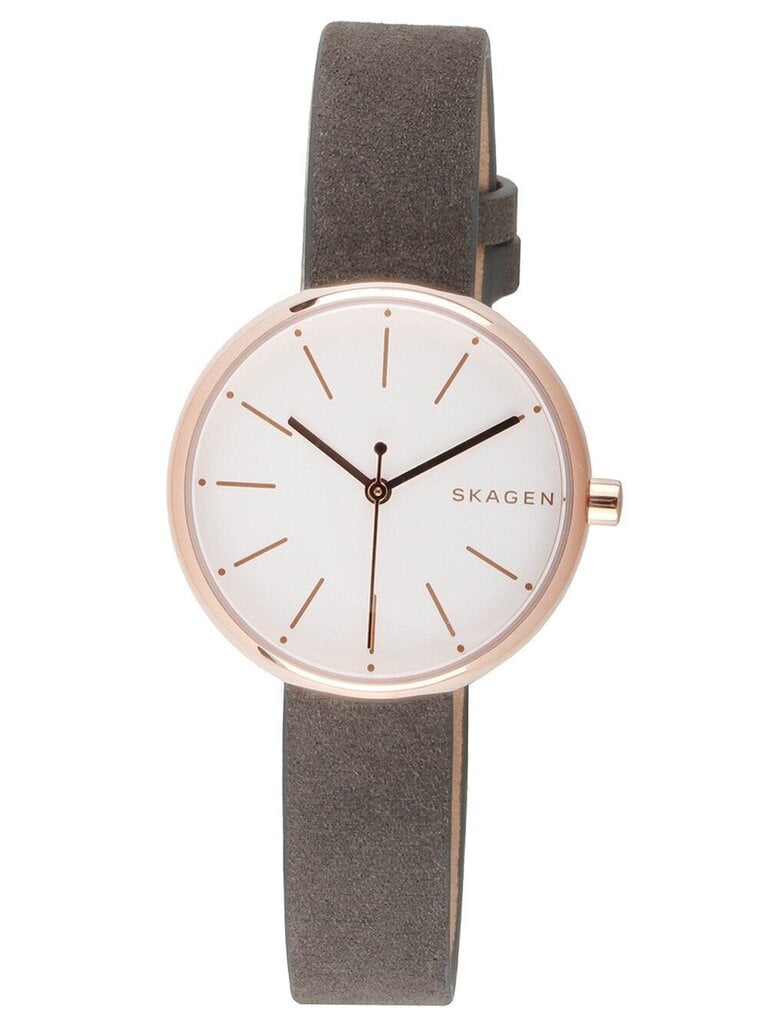 Moteriškas laikrodis Skagen SKW2644 цена и информация | Moteriški laikrodžiai | pigu.lt