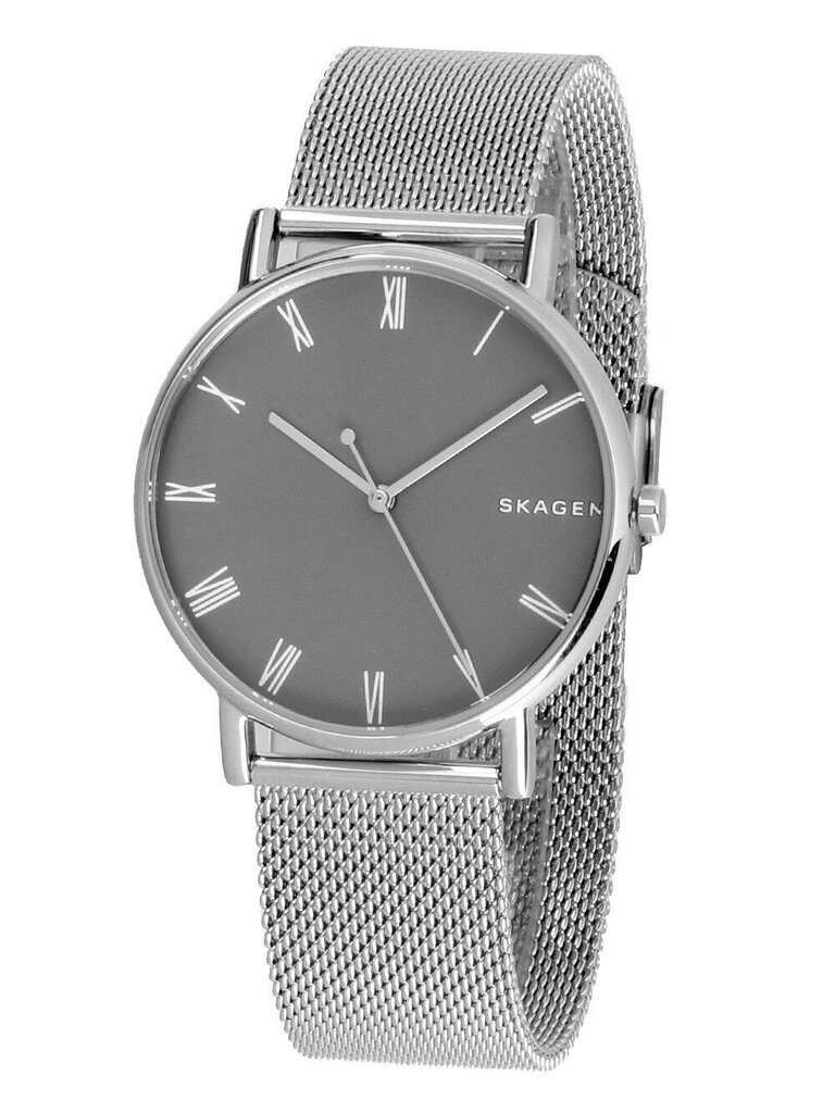 Vyriškas laikrodis Skagen SKW6428 kaina ir informacija | Vyriški laikrodžiai | pigu.lt