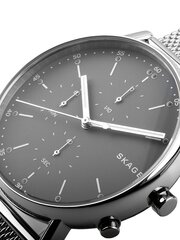 Laikrodis vyrams Skagen SKW6464 цена и информация | Мужские часы | pigu.lt
