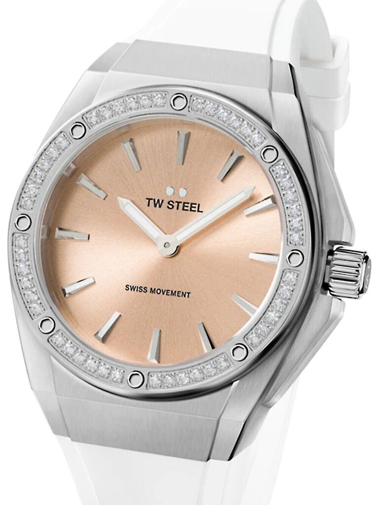 Laikrodis moterims TW-Steel CE4032 kaina ir informacija | Moteriški laikrodžiai | pigu.lt