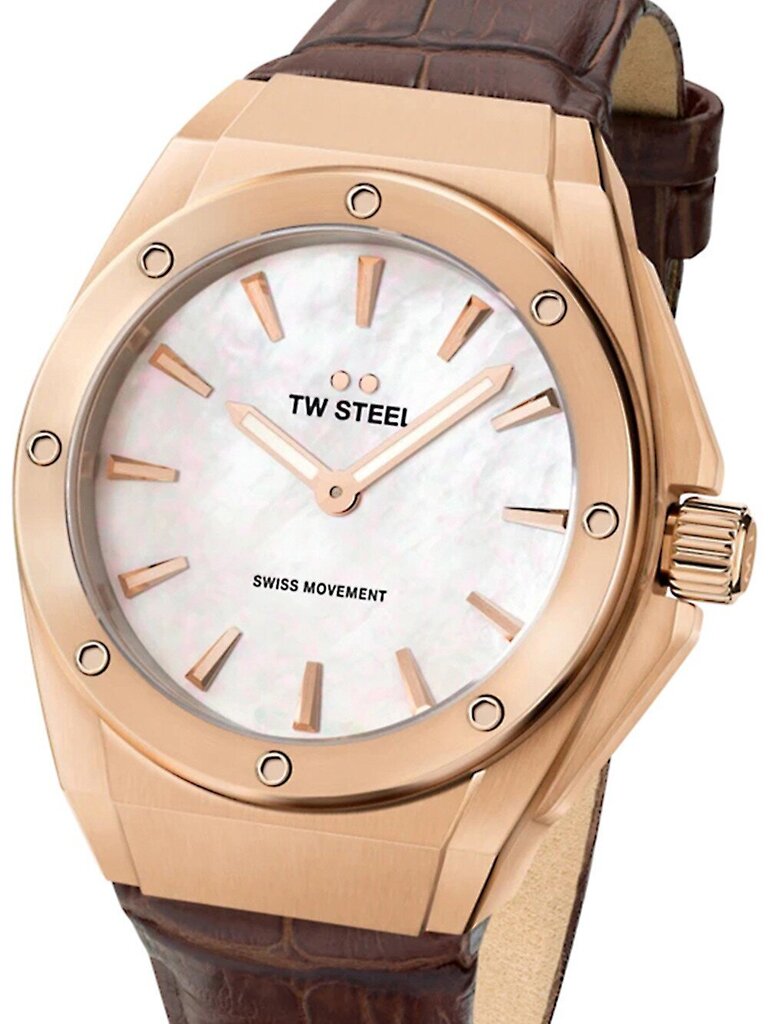 Laikrodis moterims TW-Steel CE4034 kaina ir informacija | Moteriški laikrodžiai | pigu.lt
