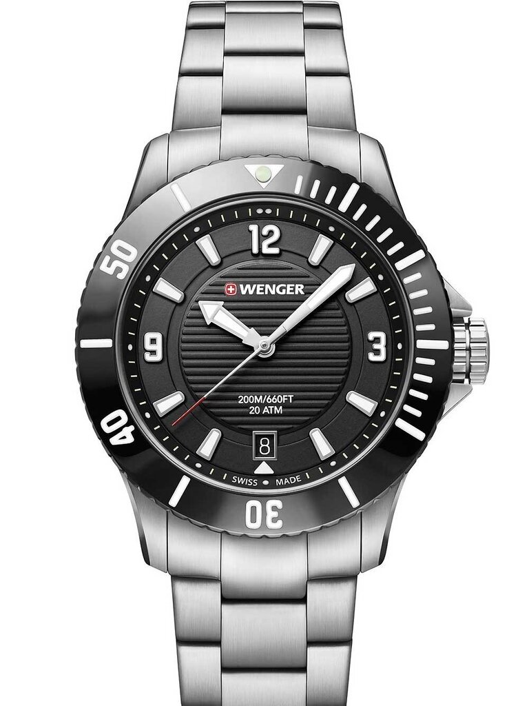 Laikrodis moterims Wenger 01.0621.109 цена и информация | Moteriški laikrodžiai | pigu.lt