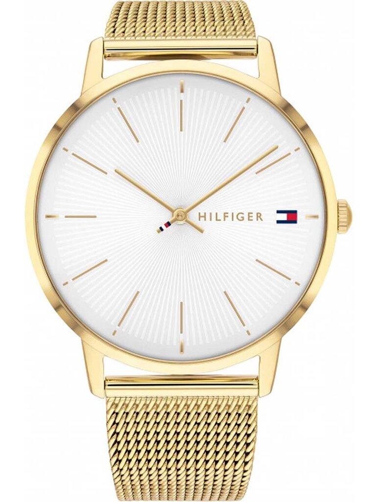 Moteriškas laikrodis Tommy Hilfiger 1782245 цена и информация | Moteriški laikrodžiai | pigu.lt