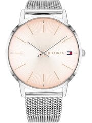 Laikrodis moterims Tommy Hilfiger 1782244, sidabrinis цена и информация | Женские часы | pigu.lt