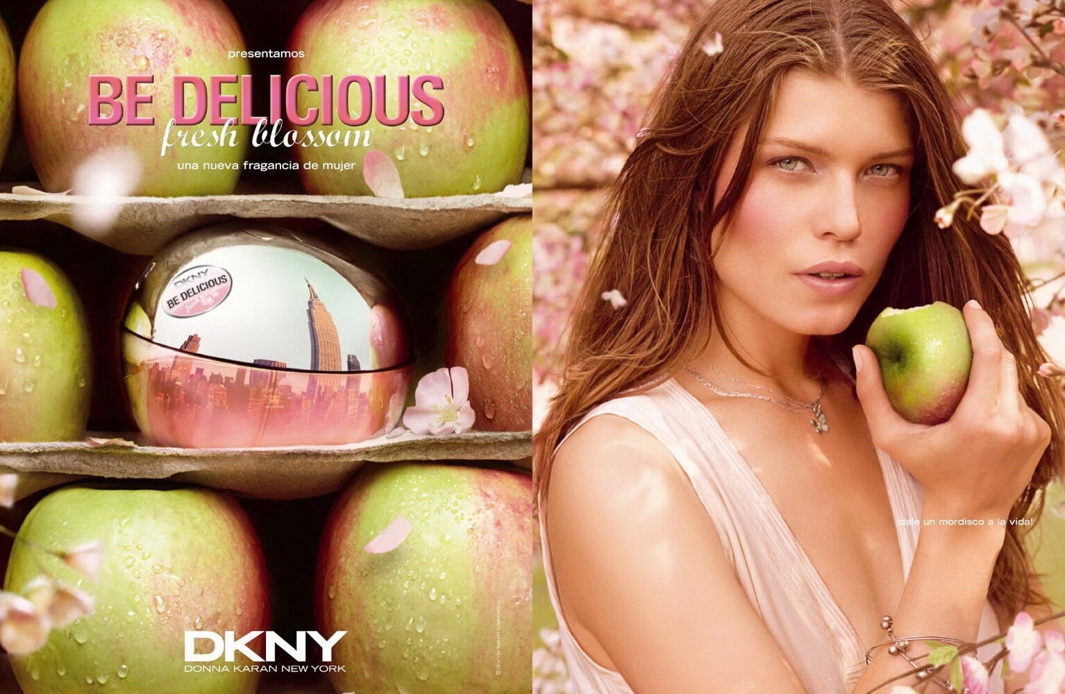 Kvapusis vanduo DKNY Be Delicious Fresh Blossom EDP moterims 100 ml цена и информация | Kvepalai moterims | pigu.lt