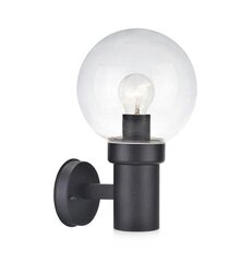 Decohouse настенный светильник Caris цена и информация | Настенные светильники | pigu.lt