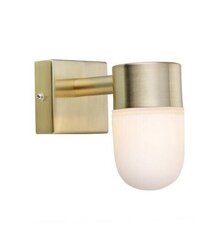 Decohouse настенный светильник Menton цена и информация | Настенные светильники | pigu.lt