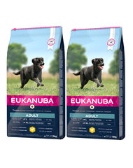 Eukanuba Active Adult Large Breed su paukštiena, 30 kg kaina ir informacija | Sausas maistas šunims | pigu.lt