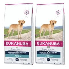 Eukanuba Adult Breeds Specific Labrador Retriever su vištiena, 24 kg kaina ir informacija | Sausas maistas šunims | pigu.lt