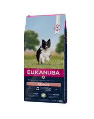 Eukanuba Senior All Breeds Lamb &Rice, 24 kg цена и информация | Сухой корм для собак | pigu.lt