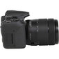 Canon EOS 850D + 18-135 mm IS USM kaina ir informacija | Skaitmeniniai fotoaparatai | pigu.lt