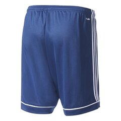 Мужские шорты Adidas Squadra 17, синие цена и информация | Шорты для мальчиков | pigu.lt
