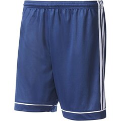 Мужские шорты Adidas Squadra 17, синие цена и информация | Шорты для мальчиков | pigu.lt