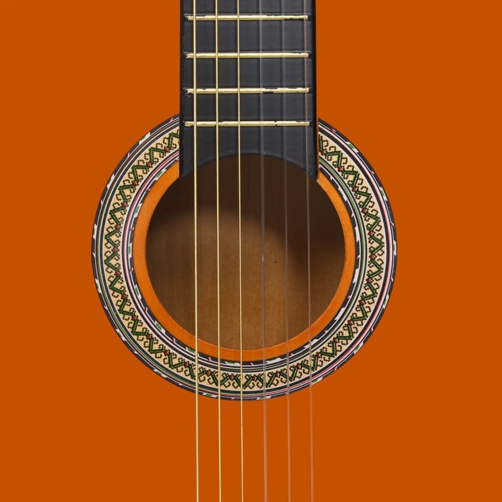 Klasikinė gitara su dėklu pradedantiesiems, 4/4 39" kaina ir informacija | Gitaros | pigu.lt