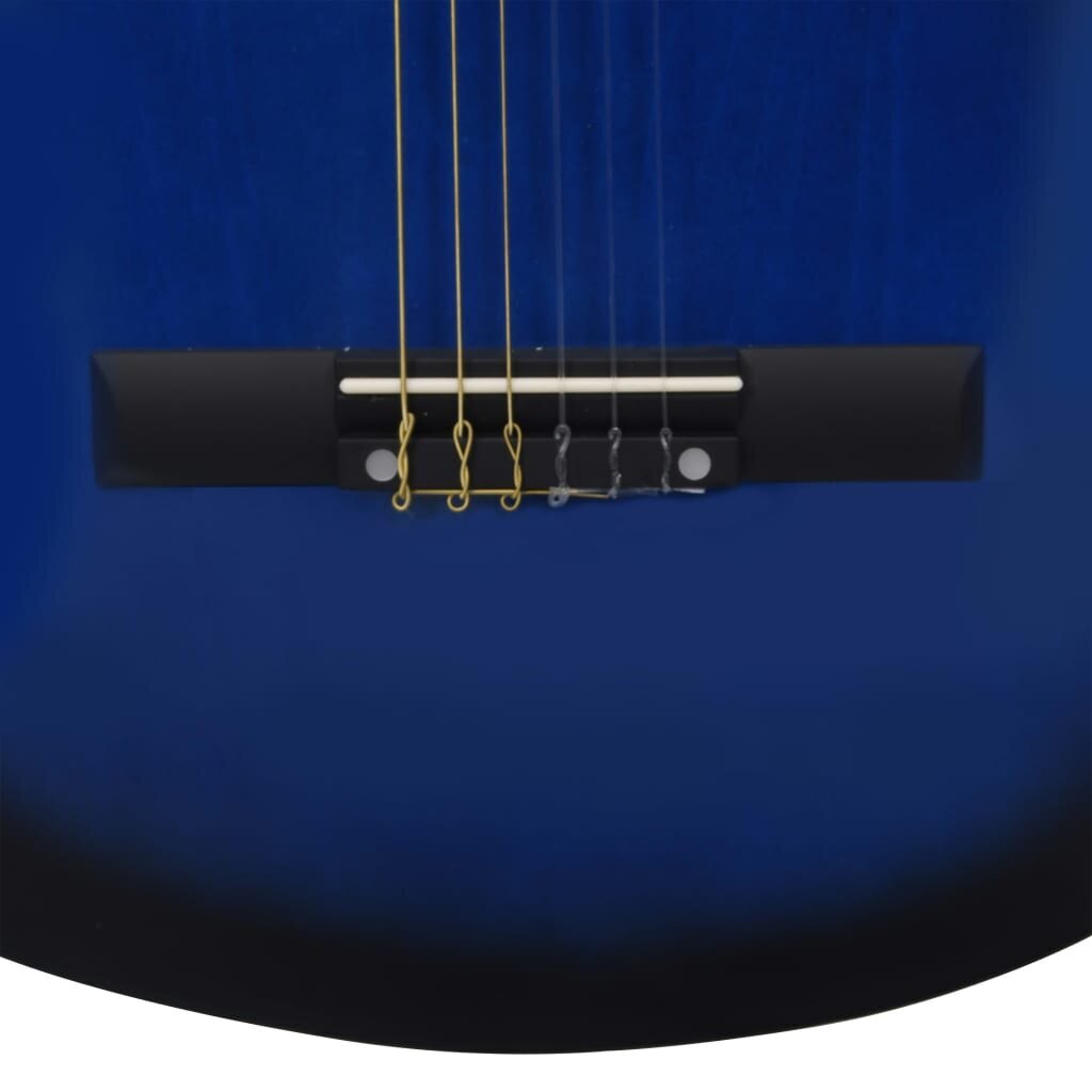 Klasikinė gitara su dėklu pradedantiesiems, 3/4 36" kaina ir informacija | Gitaros | pigu.lt