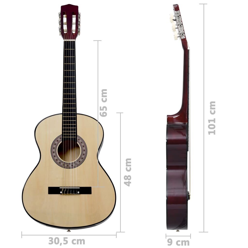 Klasikinė gitara pradedantiesiems, 4/4 39" цена и информация | Gitaros | pigu.lt