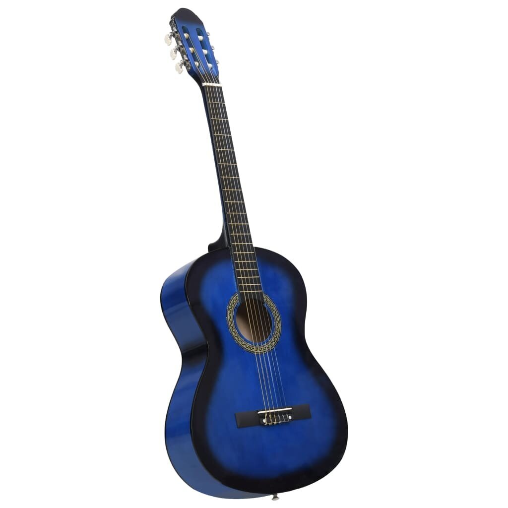 Klasikinės gitaros rinkinys pradedantiesiems, 12 dalių, 4/4 39" kaina ir informacija | Gitaros | pigu.lt