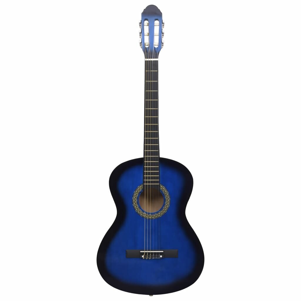 Klasikinės gitaros rinkinys pradedantiesiems, 12 dalių, 4/4 39" цена и информация | Gitaros | pigu.lt