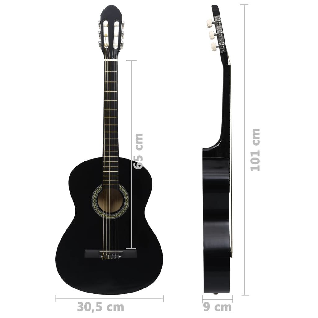 Klasikinė gitara pradedantiesiems, 4/4 39" kaina ir informacija | Gitaros | pigu.lt