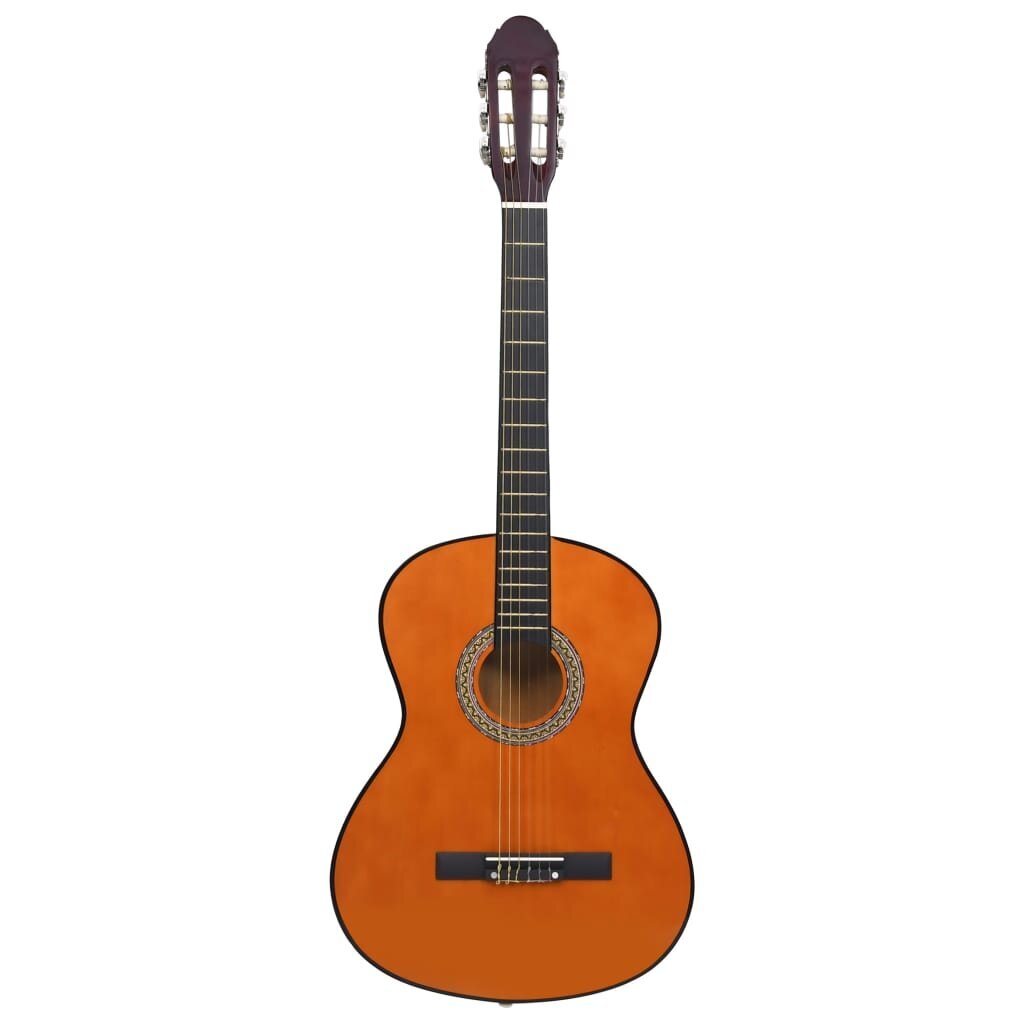 Klasikinė gitara pradedantiesiems, 4/4 39 цена и информация | Gitaros | pigu.lt