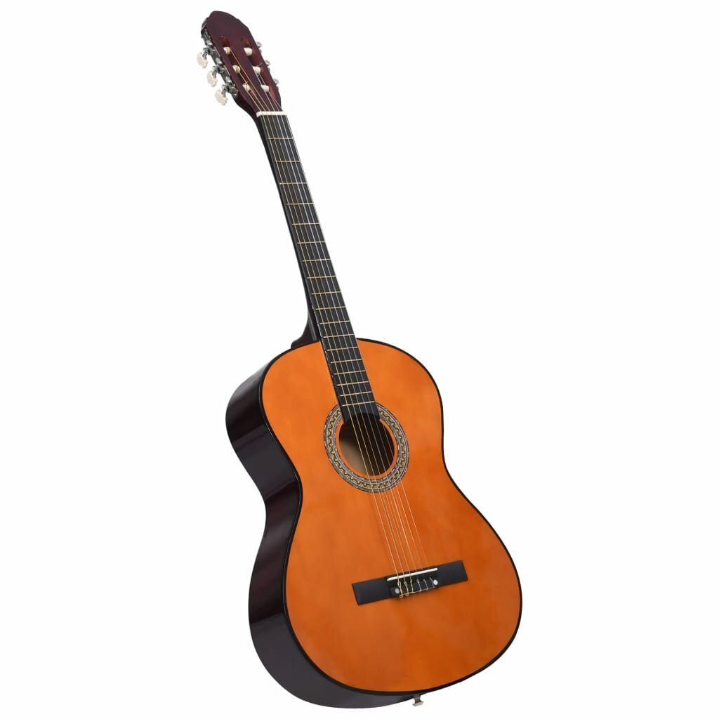 Klasikinės gitaros rinkinys pradedantiesiems, 12 dalių, 4/4 39" kaina ir informacija | Gitaros | pigu.lt