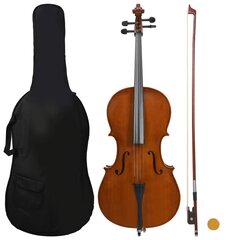 vidaXL violončelės rinkinys kaina ir informacija | Smuikai | pigu.lt