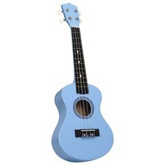 Soprano ukulėlės rinkinys su dėklu vaikams, 21" kaina ir informacija | Gitaros | pigu.lt