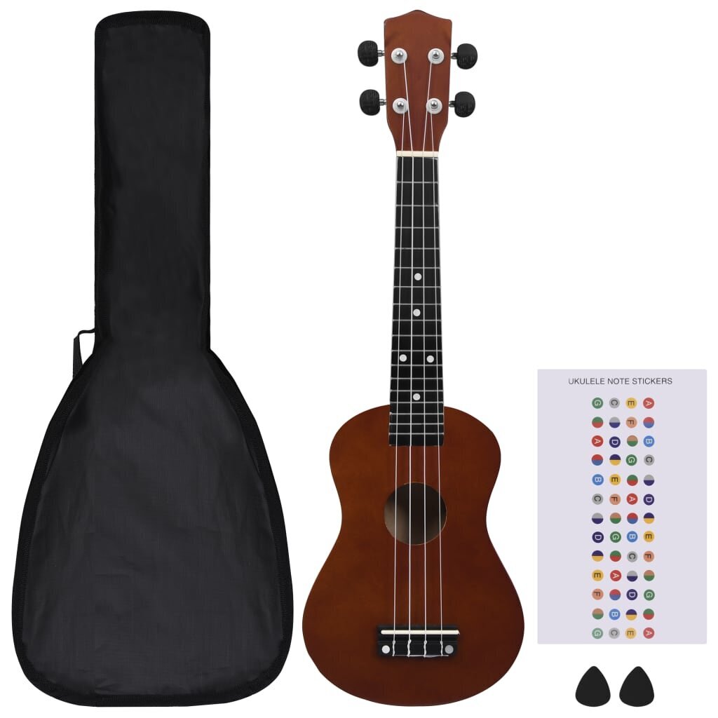 Soprano ukulėlės rinkinys su dėklu vaikams, 23" kaina ir informacija | Gitaros | pigu.lt