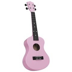 Soprano ukulėlės rinkinys su dėklu vaikams, 23" kaina ir informacija | Gitaros | pigu.lt