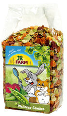 JR Farm graužikų pašaro papildas su daržovių dribsniais Wellness Vegetables, 600 g kaina ir informacija | JR Farm Gyvūnų prekės | pigu.lt