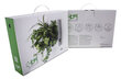 Komplektas gyvų augalų paveikslui sukurti "Hang Oasi Home" цена и информация | Floristikos reikmenys | pigu.lt