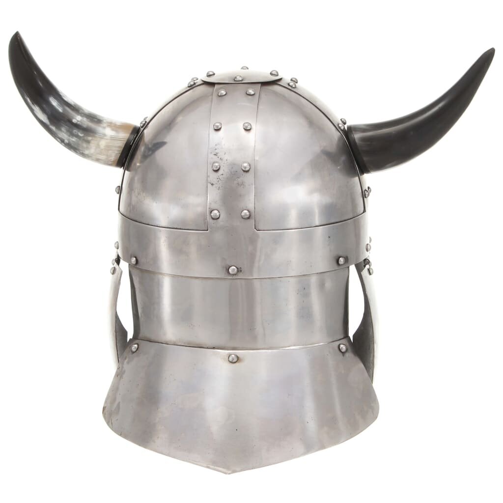 Vikingų šalmas VidaXL, sidabrinis, plienas, fantastinis цена и информация | Karnavaliniai kostiumai | pigu.lt