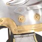 Romėnų kario šalmas VidaXL, sidabrinis, plienas, antikvarinė kopija kaina ir informacija | Karnavaliniai kostiumai | pigu.lt