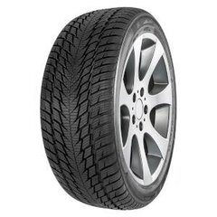 Fortuna Gowin uhp2 205/40R17 84 V цена и информация | Зимние шины | pigu.lt