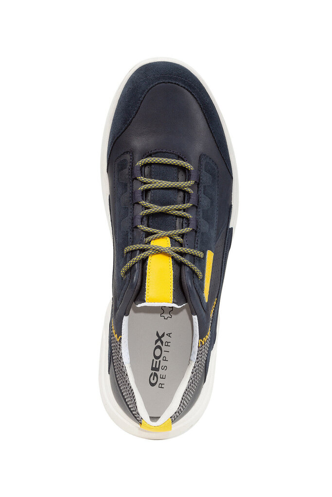 Laisvalaikio batai vyrams Geox Smoother, mėlyni kaina ir informacija | Vyriški batai | pigu.lt