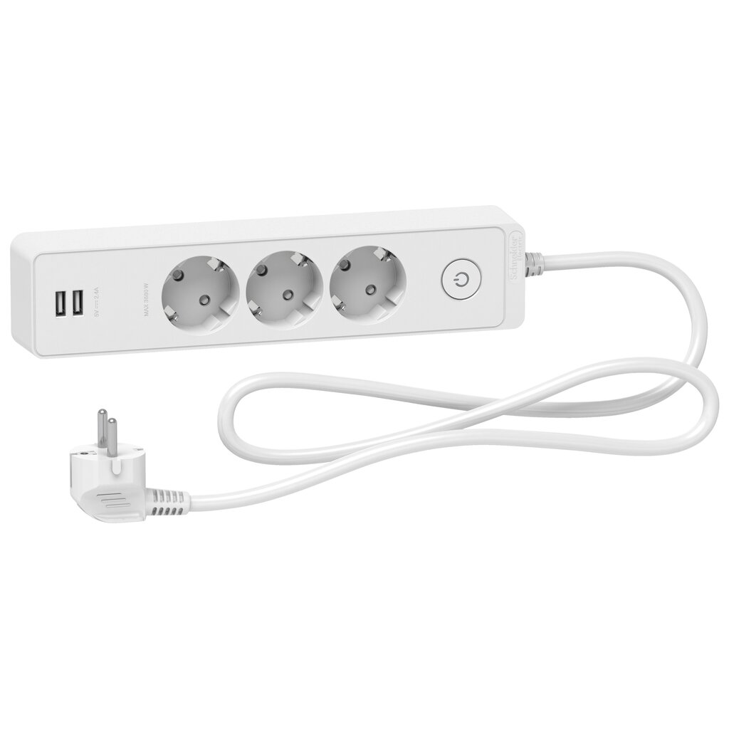 Ilgiklis Schneider Electric Unica Extend USB kaina ir informacija | Prailgintuvai | pigu.lt