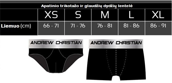 Glaudės vyrams Andrew Christian Breakwater Bikini цена и информация | Maudymosi šortai, glaudės | pigu.lt